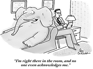 ELEPHANT in the room - un elefante en la habitación